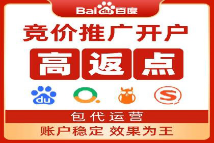 某企业通过SEM实现品牌与销售双增长的案例